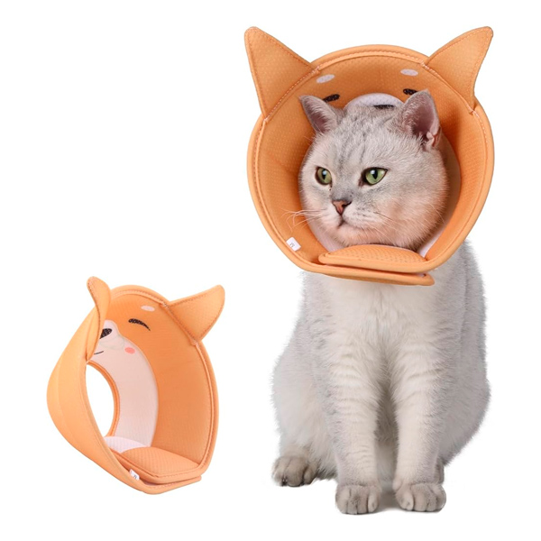 articulo-salud-cono-recuperacion-perro-collar-isabelino-gato