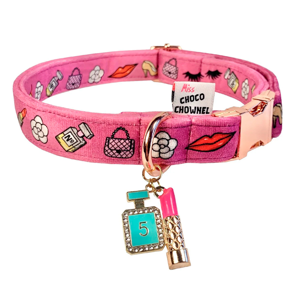 collar-perro-collar-mascotas