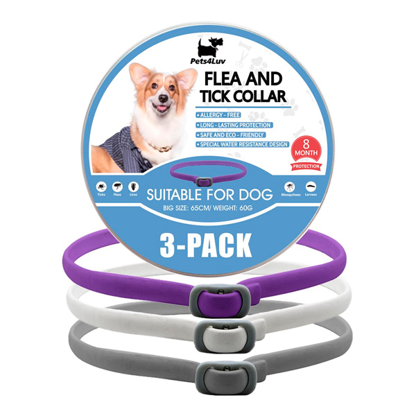 collar-pulgas-garrapatas-control-pulgas-garrapatasantipulgas-antigarrapatas