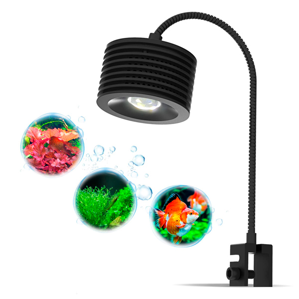 luz-acuario-luz-pecera. Palabras clave: luz-acuario-luz-pecera.