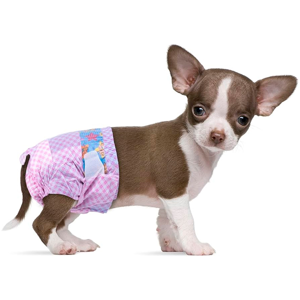 panal-perro-panal-mascotas