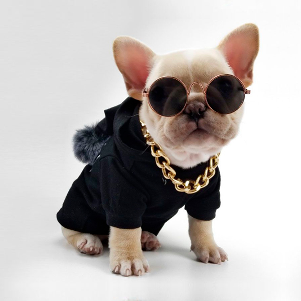 ropa-perro-ropa-mascotas. Palabras clave: ropa-perro-ropa-mascotas.